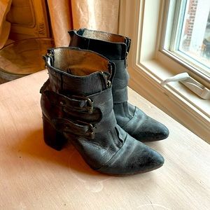 Freebird by Steven/ Joey